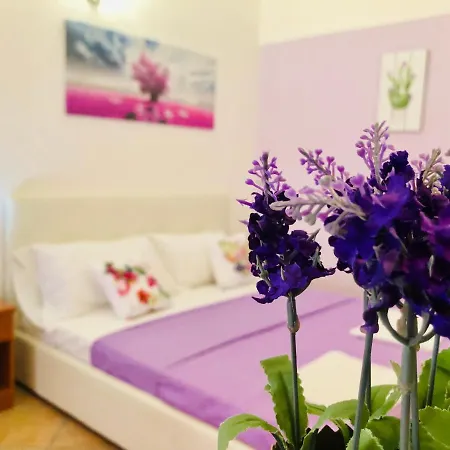 Carlottas'home Apartman *